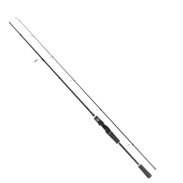 REMIXON FOCUS BG 2.10M 5-35GR 2P KAMIŞ